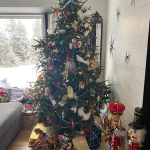 Meet your Posher, Bonnie